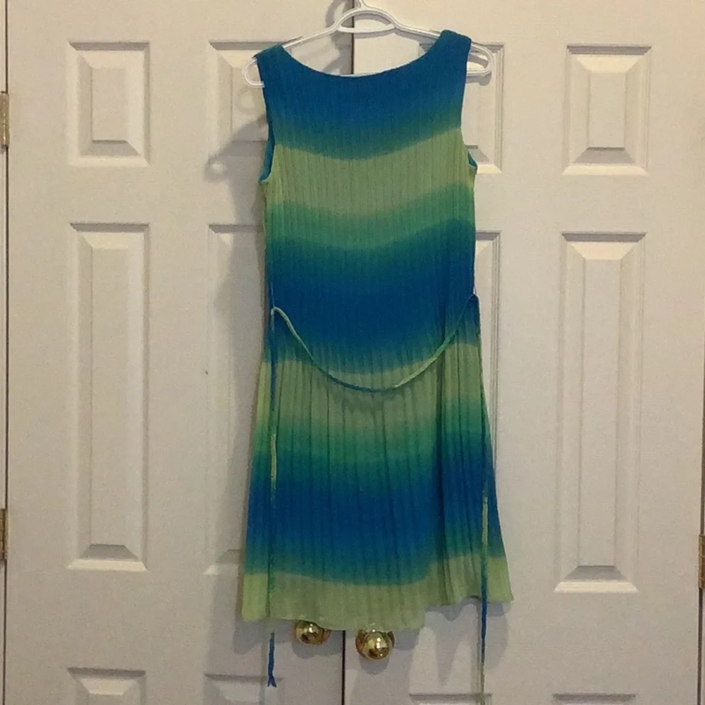 Spring has sprung dress - Picture 2 of 3